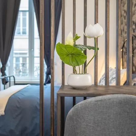 Le Cocon Lita-palace Apartment Lyon